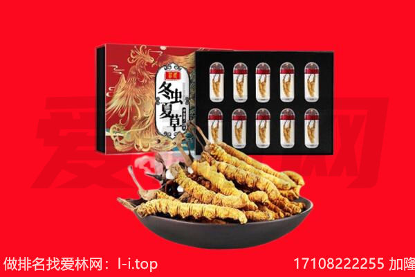 连云港市回收虫草.jpg